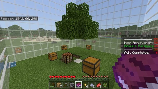 Captive Minecraft Survival