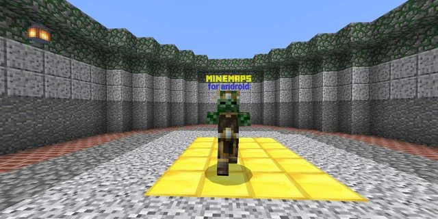 Custom Arenas