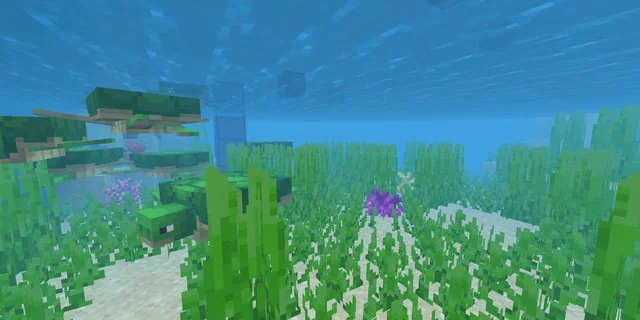 Aquatic Parkour