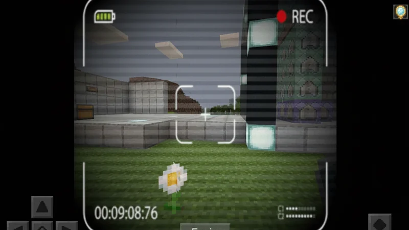 Working Security Cameras