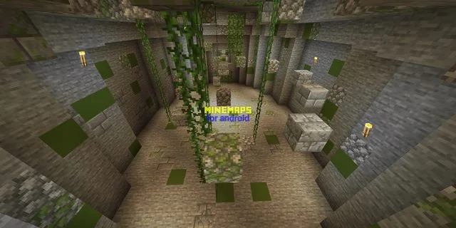 Papa Smurfs Secret Potion